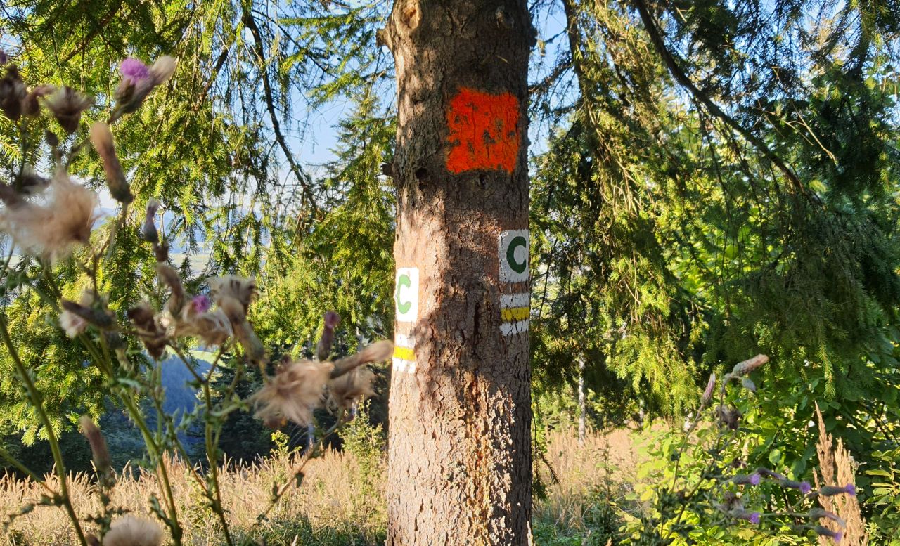 Obnovené značenie na cyklotrasách v Prešovskom kraji