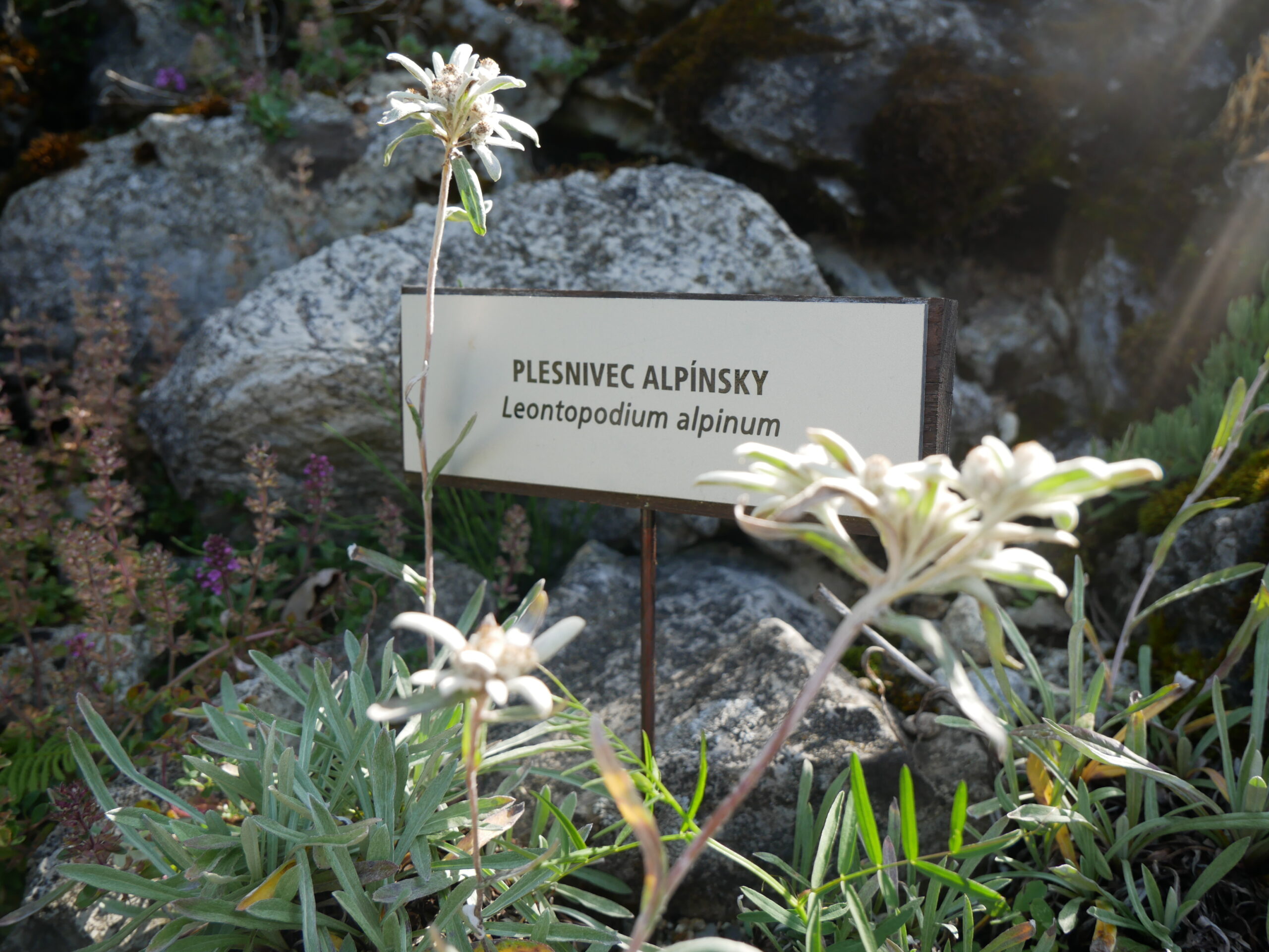 Botanická záhrada vstupuje do novej sezóny