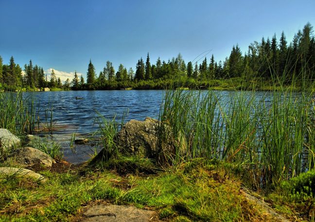 Jamské pleso