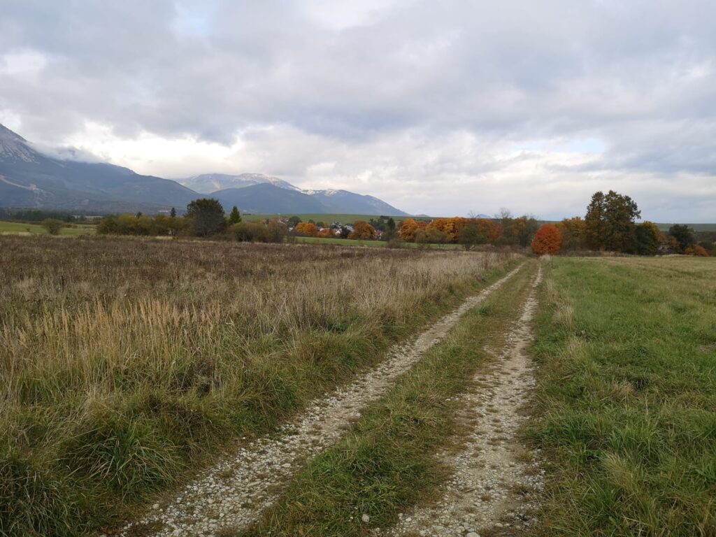 5879_Horný Smokovec – Stará Lesná - Matejovce