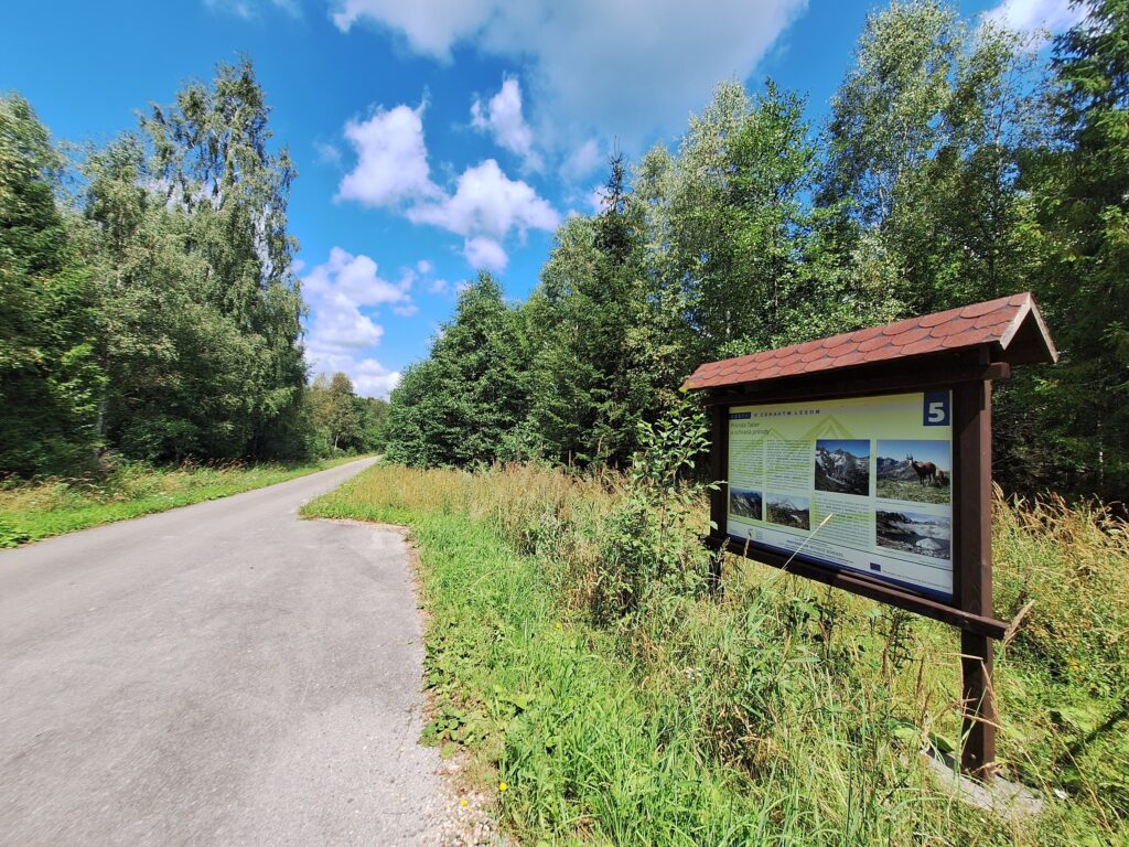 5895_Tatranské Matliare – Skalaná poľana