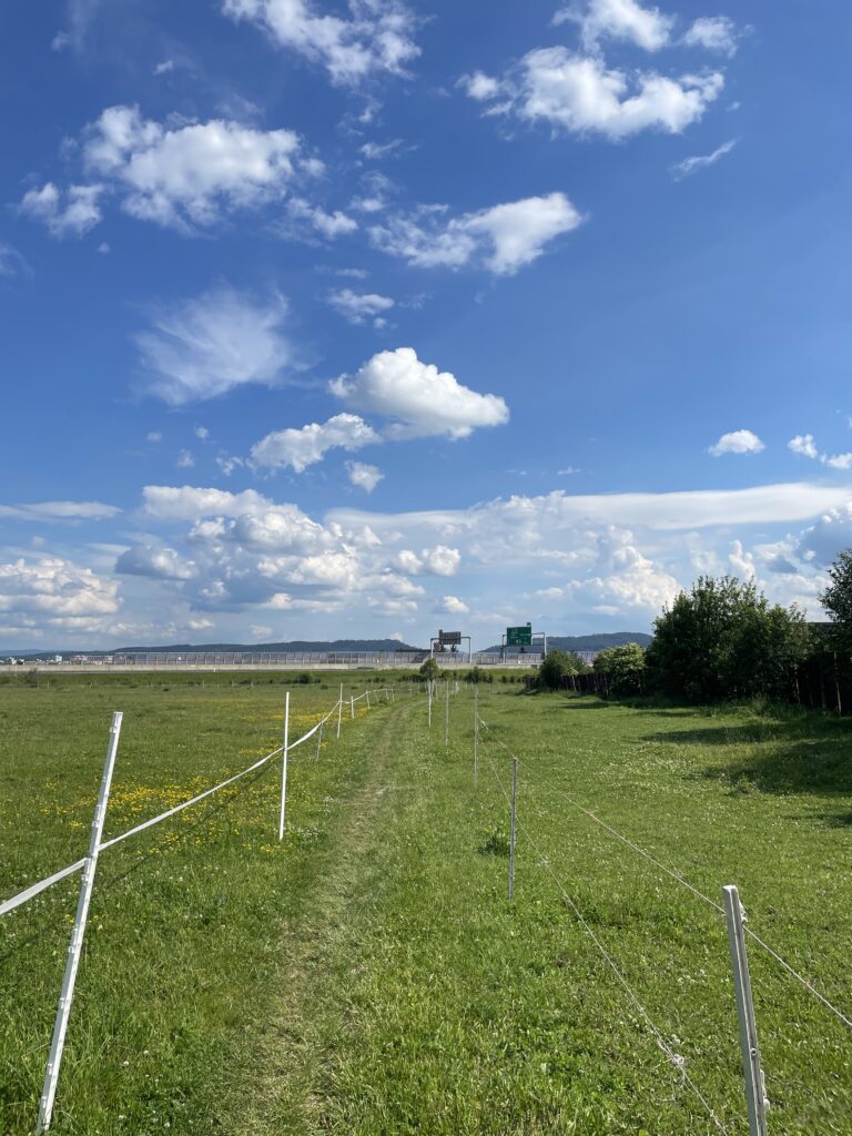 8865_Poprad - Gerlachov_žltá