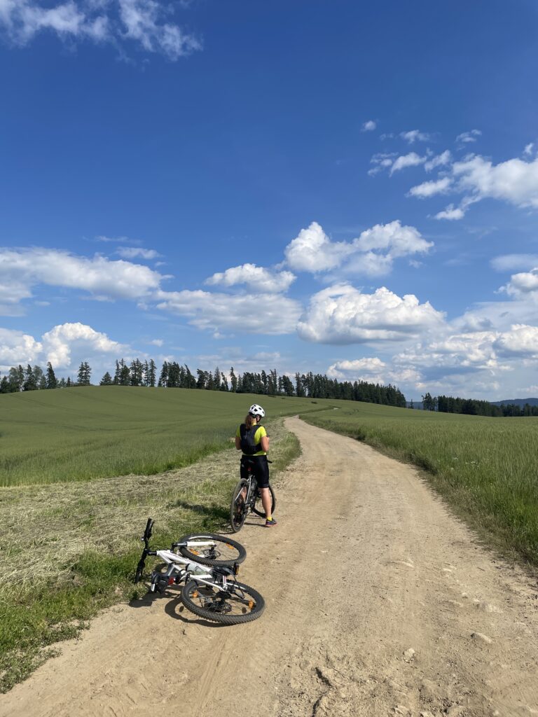 8865_Poprad - Gerlachov_žltá