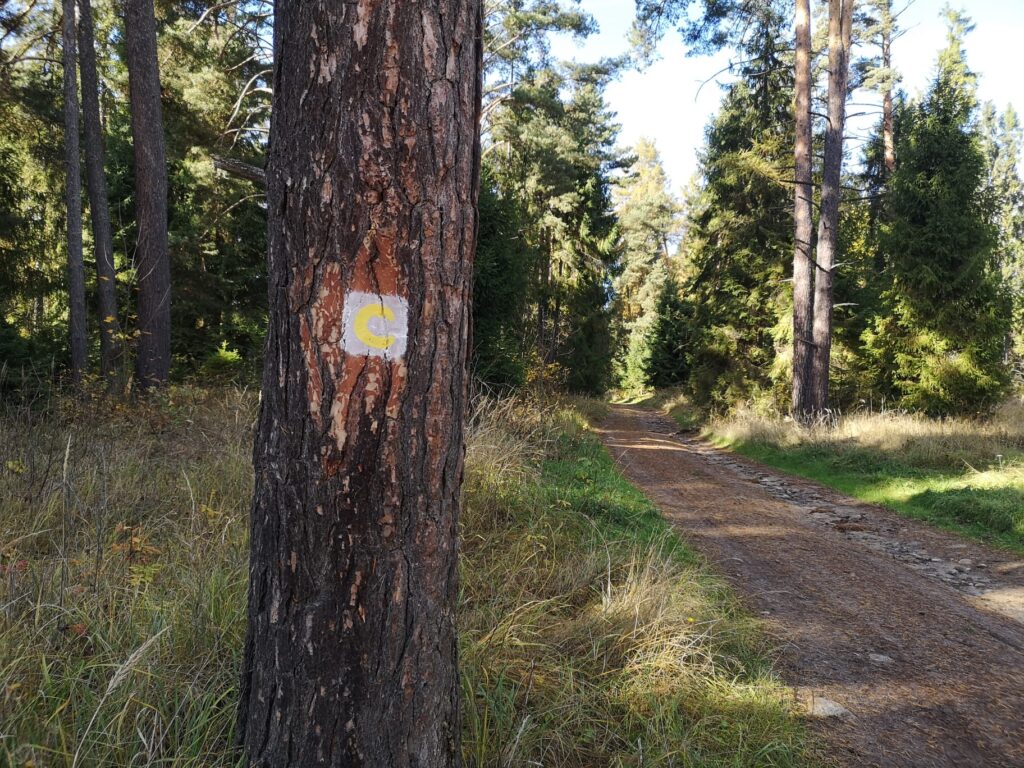 8865_Poprad - Gerlachov_žltá