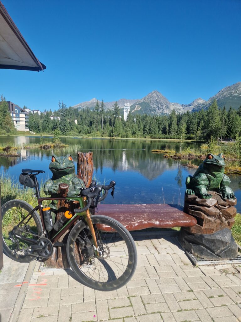 2866 – Cesta Slobody – Popradské Pleso