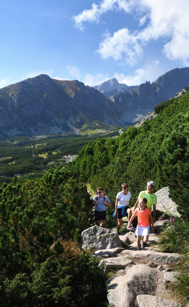 Solisko_