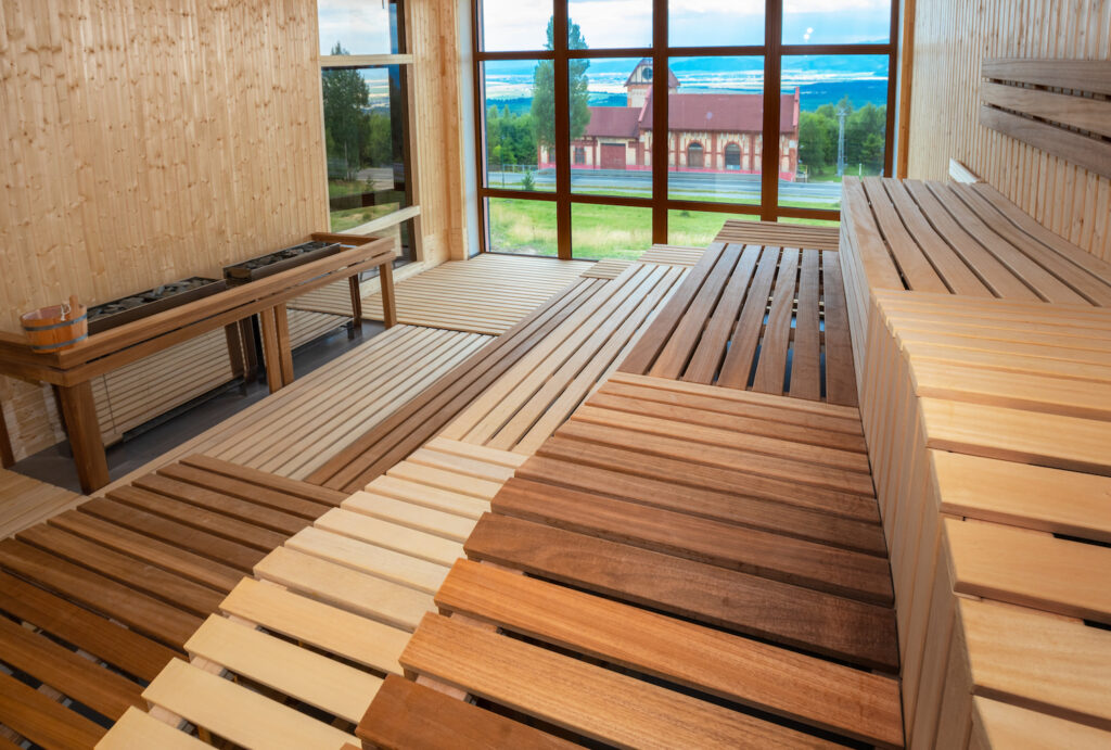 Wellness Hotel Bellevue