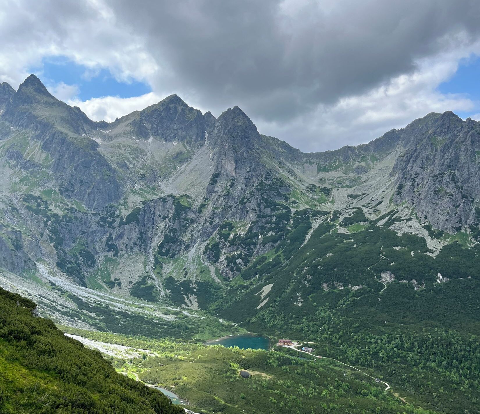veľká svištovka