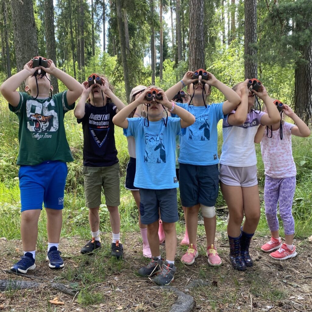 Forest Detectives