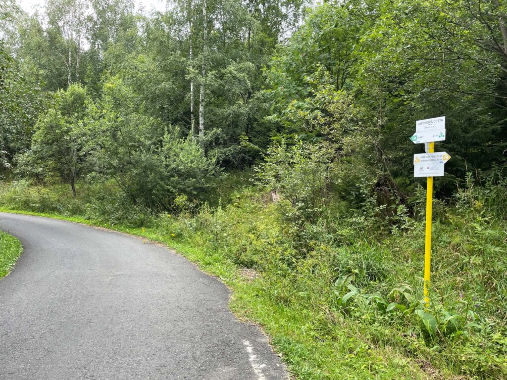 Tatranská Lomnica_Štart