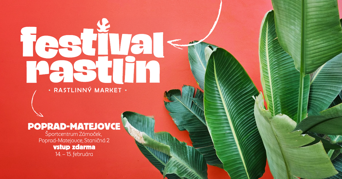 Festival Rastlín